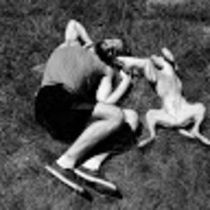 Meet your Posher, Toby